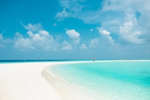 Le isole Bahamas, curiosità di una terra da sogno
